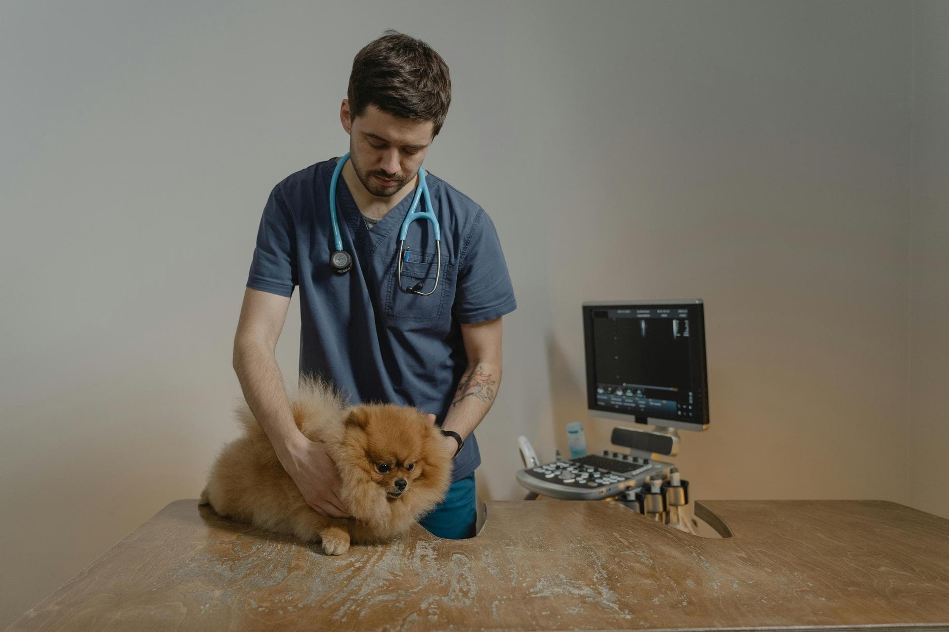 Dog & Cat Vets in East Dummerston