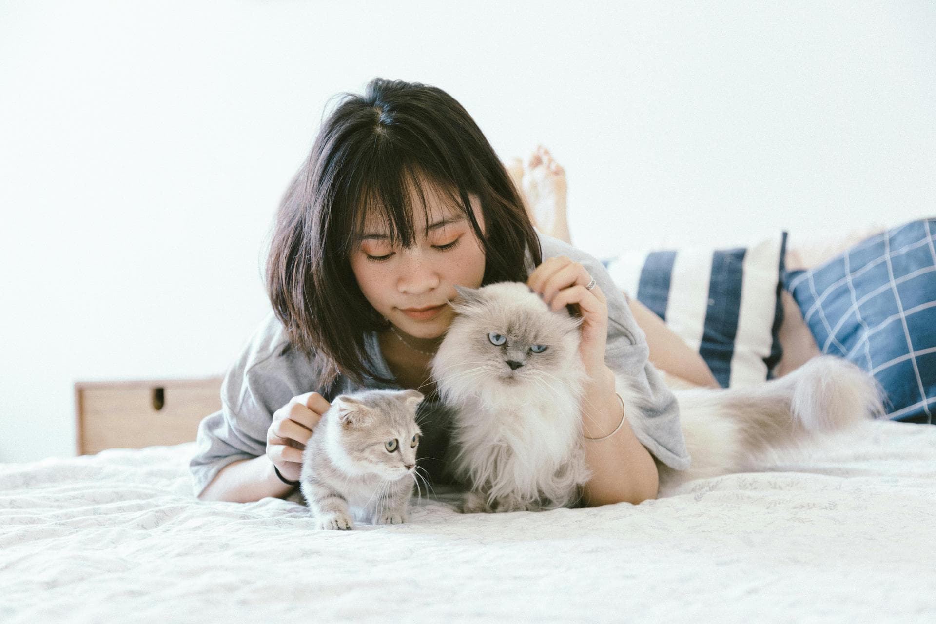 Dog & Cat Vets in Brandon
